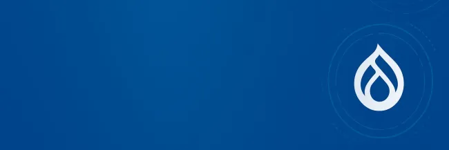 Hire HSK for Drupal Development Services