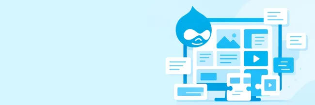 Drupal Paragraphs Module