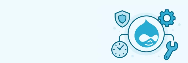 Drupal Support Services