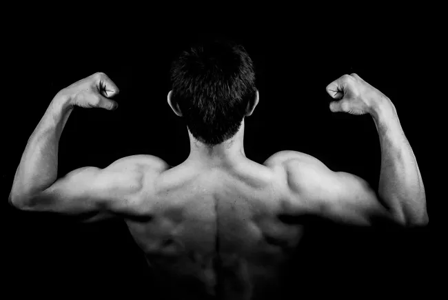 muscledoc-bg